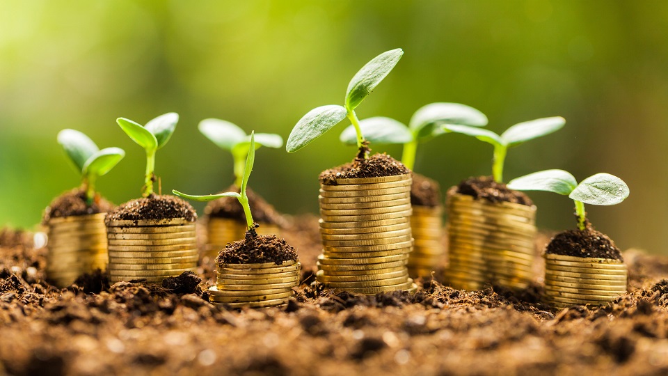 農產品短視頻營銷 農產品短視頻營銷