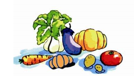 農產品短視頻營銷 農產品短視頻營銷