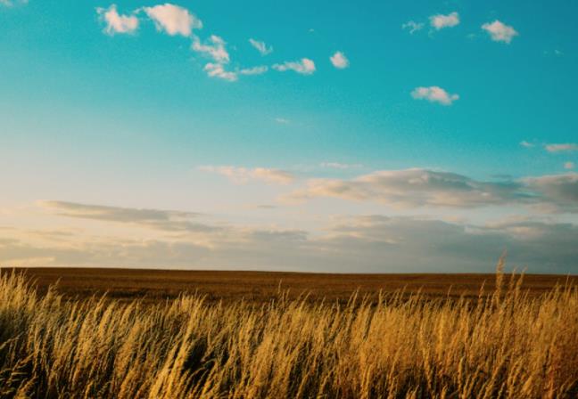 上海短視頻代運(yùn)營公司如何構(gòu)建私域流量 上海短視頻代運(yùn)營公司如何構(gòu)建私域流量