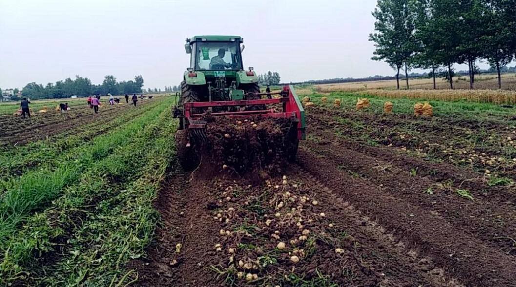 農(nóng)業(yè)品牌策劃需要長期做嗎？