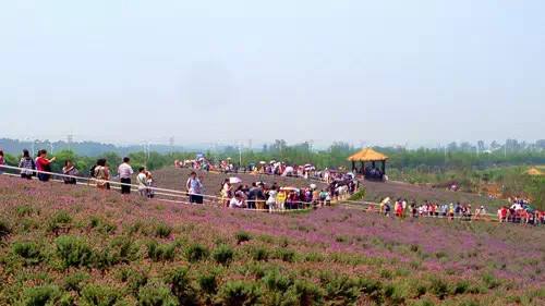 農(nóng)業(yè)品牌策劃能給公司帶來什么利益呢？