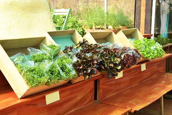 農(nóng)業(yè)包裝設(shè)計(jì)的重要作用與意義