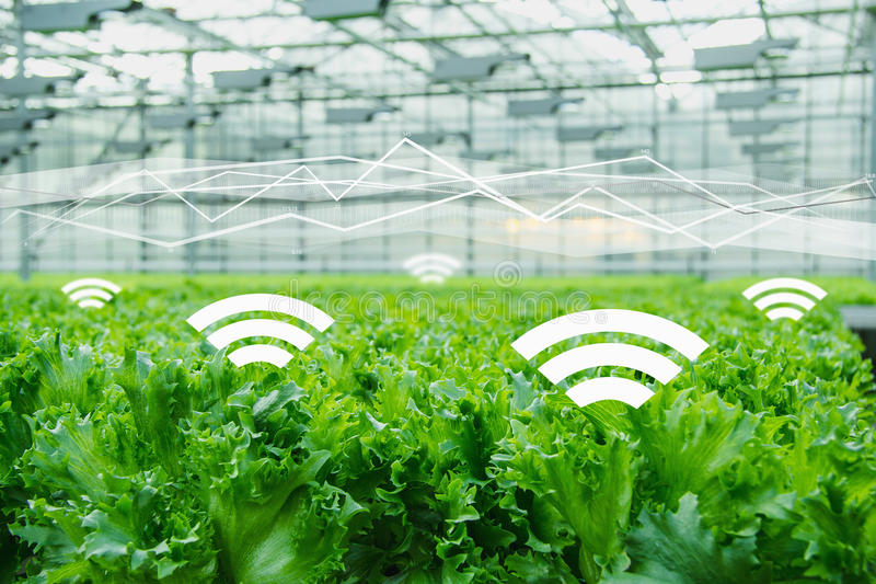 農(nóng)業(yè)品牌定位，互聯(lián)網(wǎng)農(nóng)業(yè)品牌定位