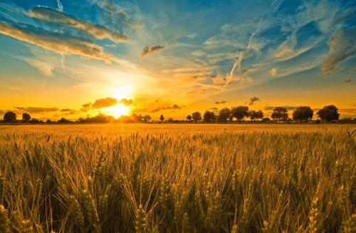 品牌定位，農(nóng)業(yè)品牌定位