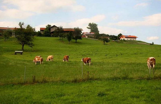 農業(yè)品牌定位 農業(yè)品牌定位