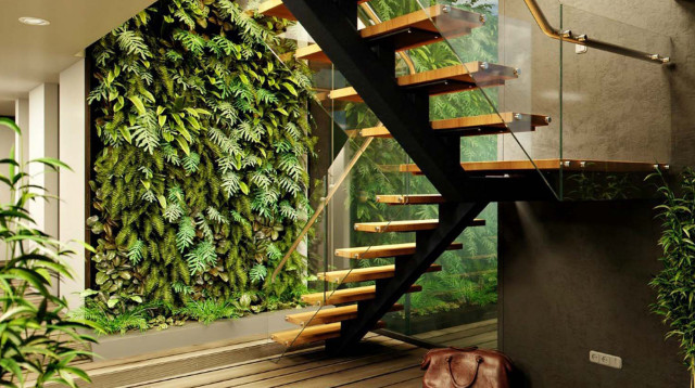 綠植租賃的好處以及擺放建議 綠植租賃的好處以及擺放建議