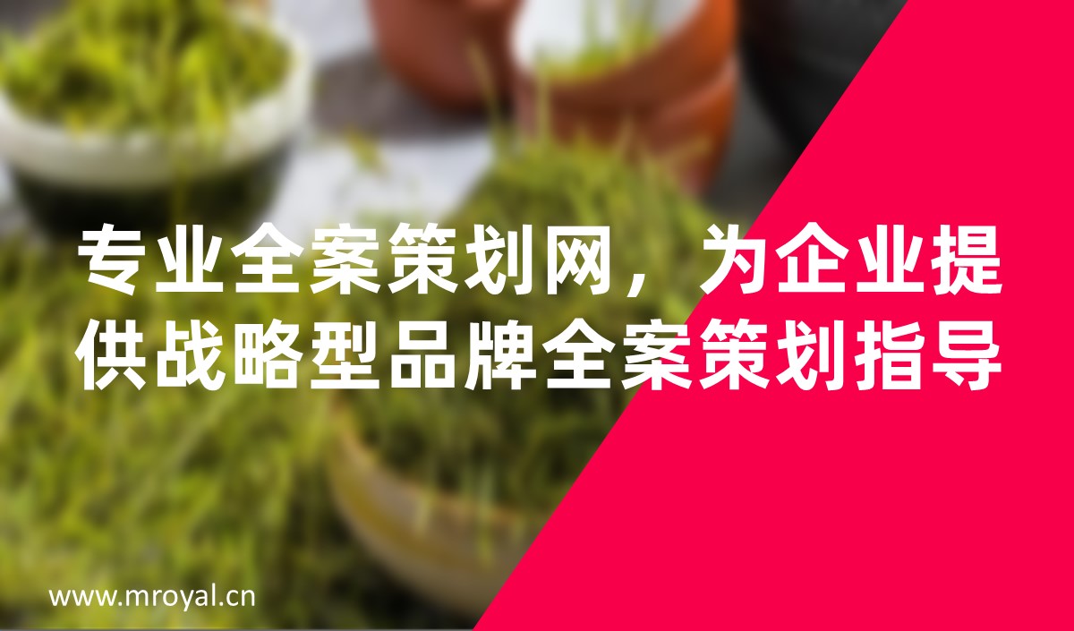 專業(yè)全案策劃網(wǎng)，為企業(yè)提供戰(zhàn)略型品牌全案策劃指導(dǎo)