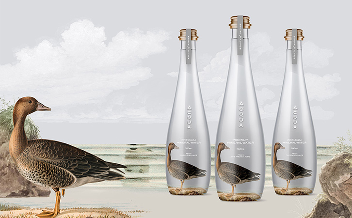 礦泉水包裝設(shè)計全案 礦泉水包裝設(shè)計全案