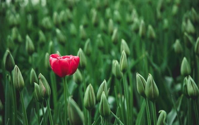 企業(yè)形象策劃公司 企業(yè)形象策劃公司