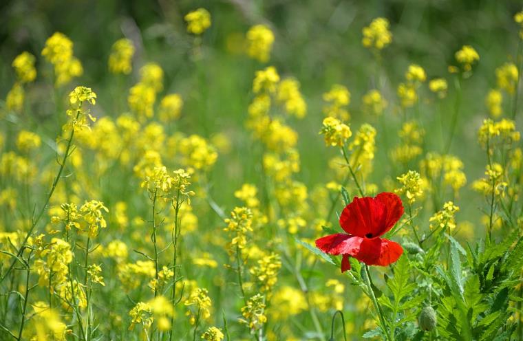 全案營(yíng)銷公司 全案營(yíng)銷公司