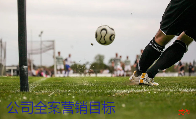 公司全案營銷目標(biāo)