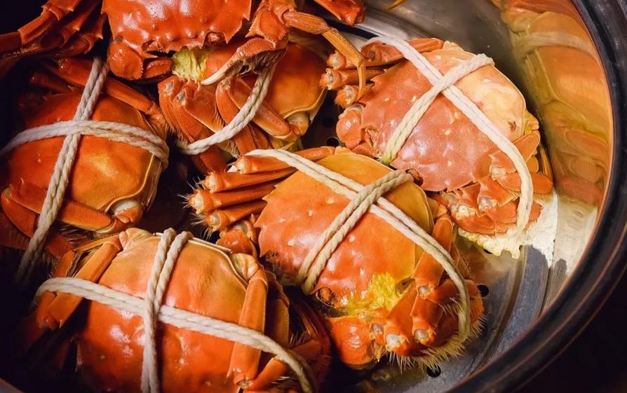 陽澄湖大閘蟹品牌全案策劃 陽澄湖大閘蟹品牌全案策劃