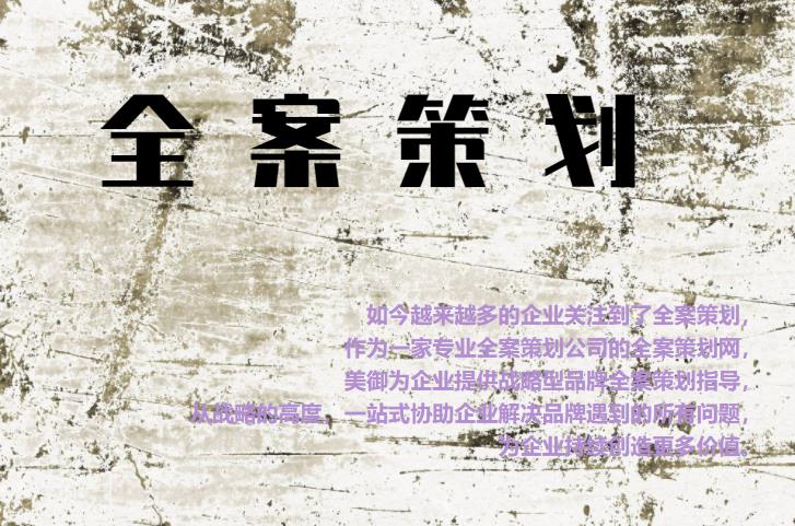 專業(yè)全案策劃網(wǎng)，為企業(yè)提供戰(zhàn)略型品牌全案策劃指導(dǎo)