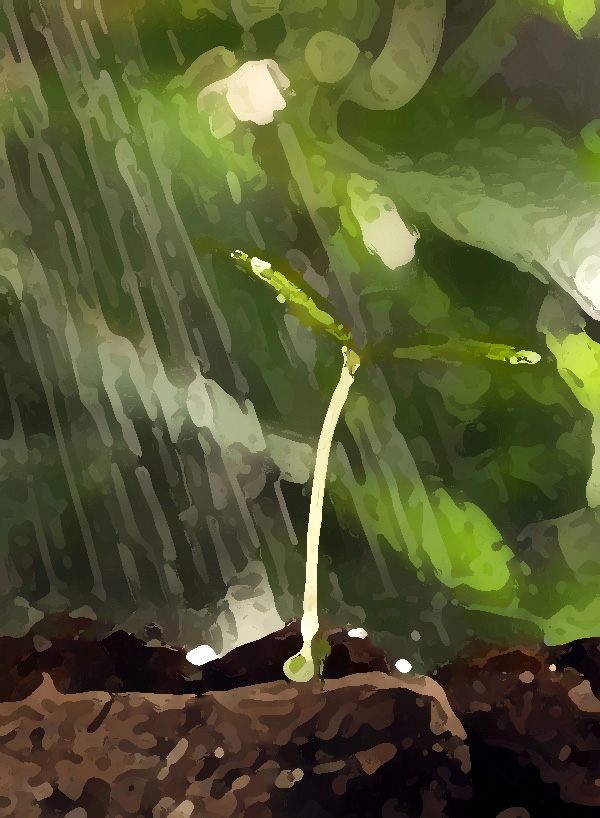 農(nóng)業(yè)公司品牌提升策劃，實(shí)現(xiàn)農(nóng)業(yè)垂直一體化