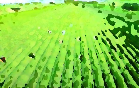 農(nóng)業(yè)品牌提升機(jī)構(gòu)，促進(jìn)農(nóng)業(yè)農(nóng)村經(jīng)濟(jì)轉(zhuǎn)型