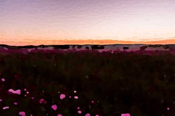 化妝品全案策劃公司應該建立怎樣的形象？