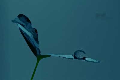 餐飲品牌設(shè)計的突破點(diǎn)有哪些？