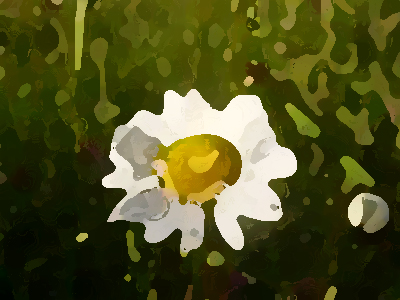 如何進(jìn)行農(nóng)業(yè)品牌形象提升？