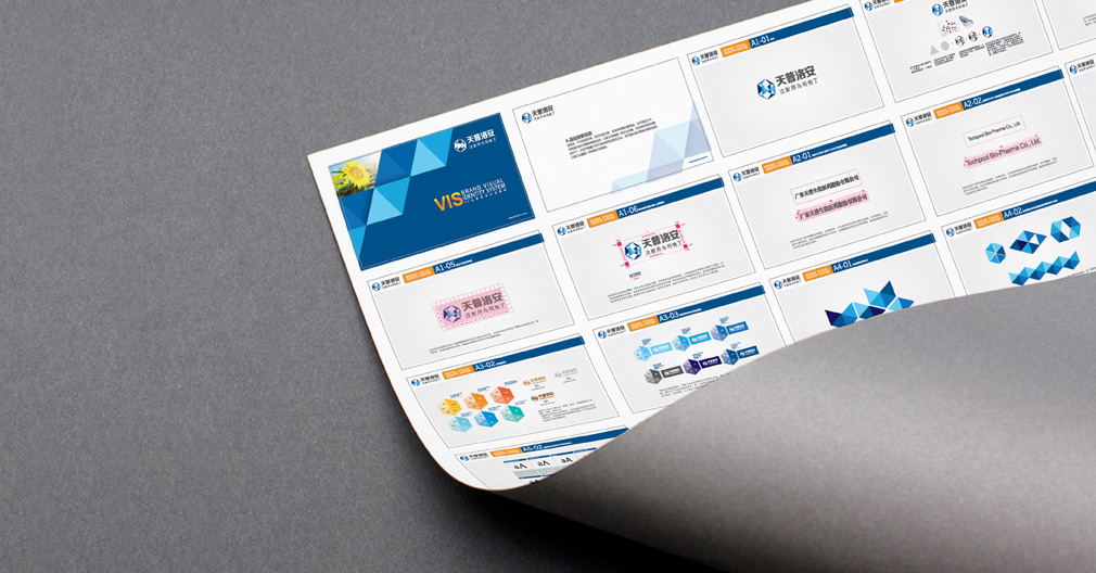 醫(yī)藥品牌VI設(shè)計