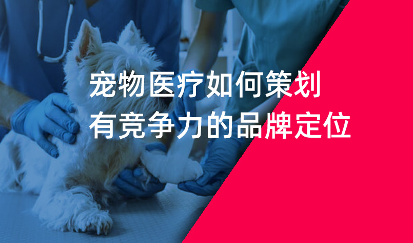 寵物醫(yī)療如何策劃有競(jìng)爭力的品牌定位
