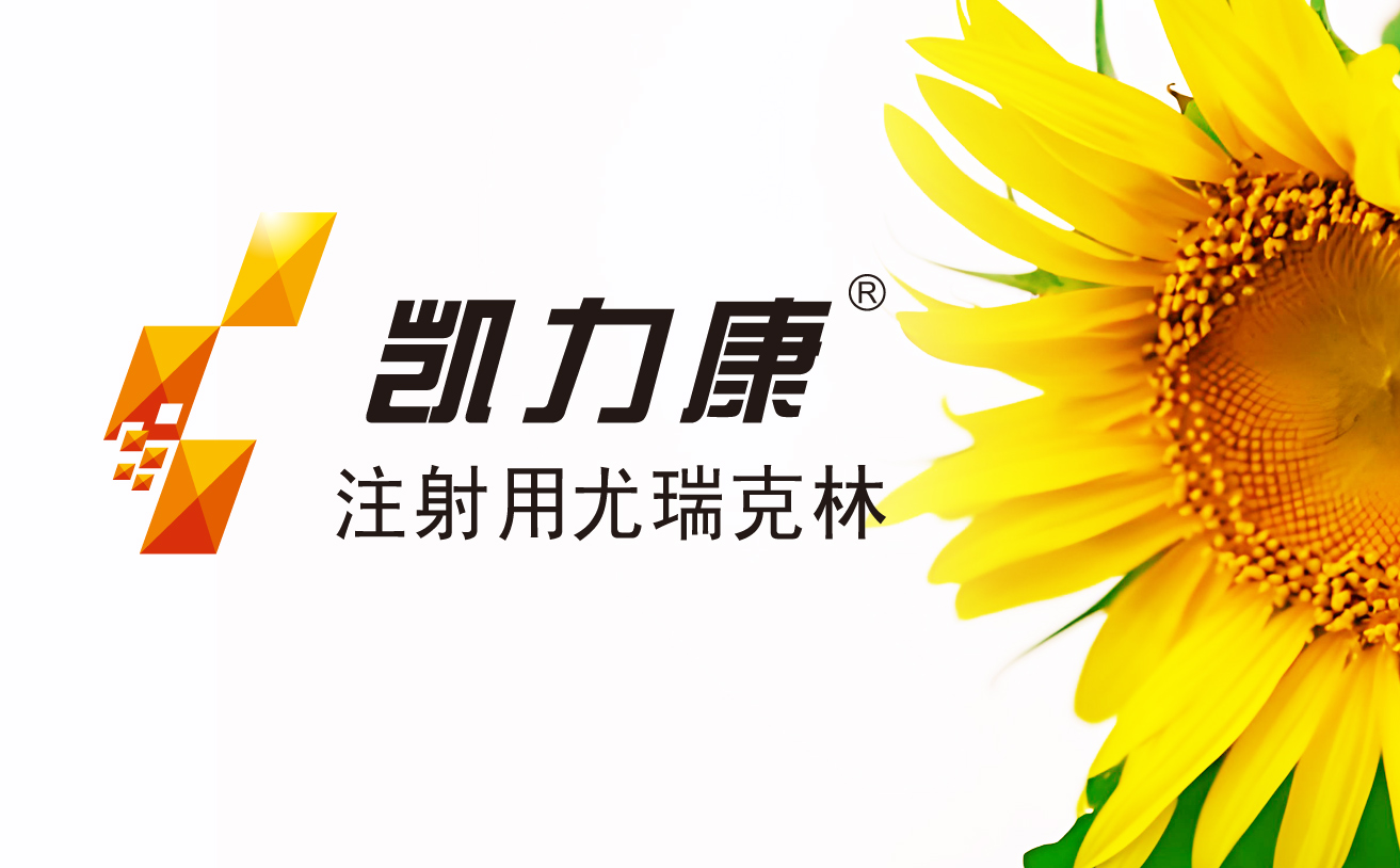 凱力康品牌VI設(shè)計(jì),上海設(shè)計(jì)公司