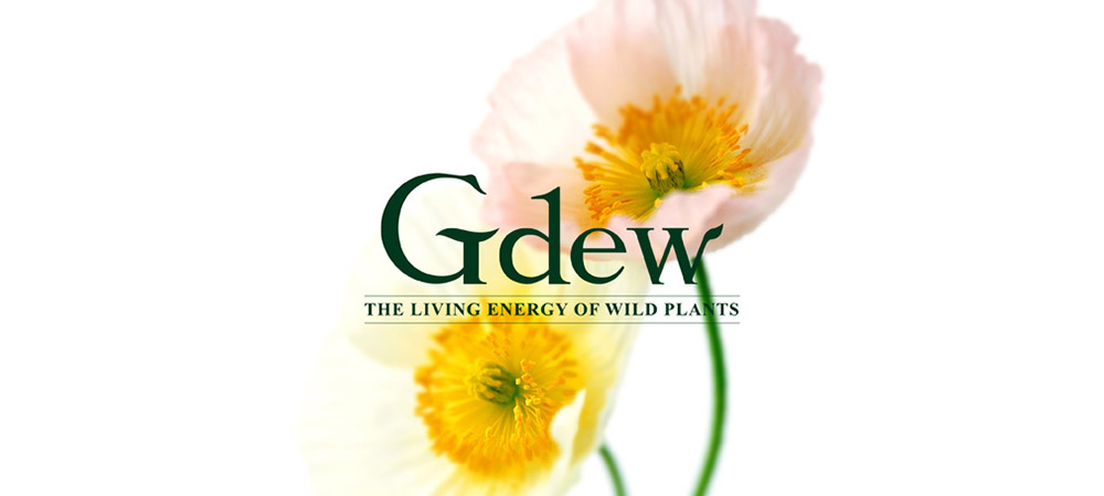 韓國GDEW化妝品進(jìn)軍中國之路