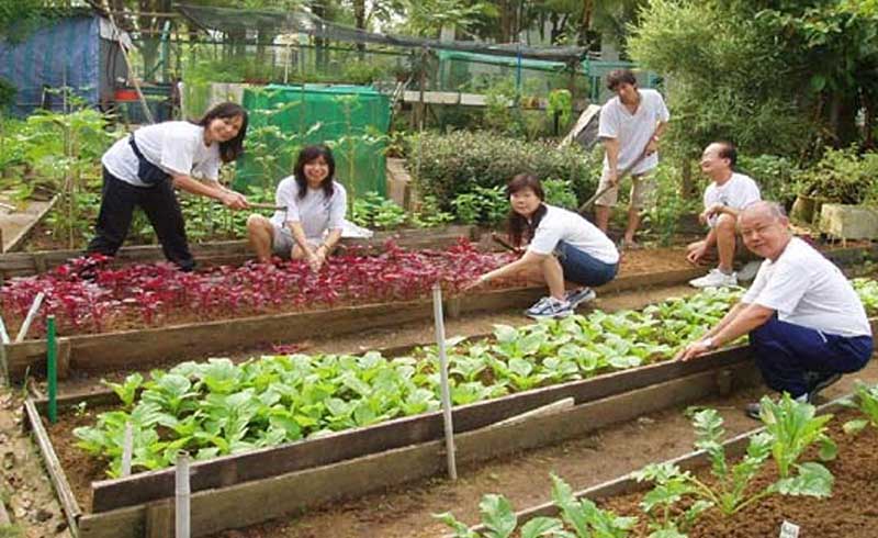 都市品牌農(nóng)業(yè) 都市品牌農(nóng)業(yè)