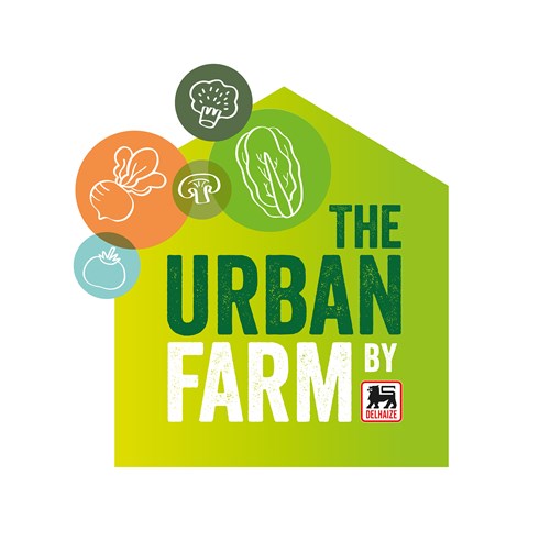 一套時尚的農(nóng)業(yè)品牌設(shè)計，設(shè)計簡潔明了，用色鮮明，讓人看了過目不忘，值得搞農(nóng)業(yè)品牌朋友學(xué)習(xí)交流。