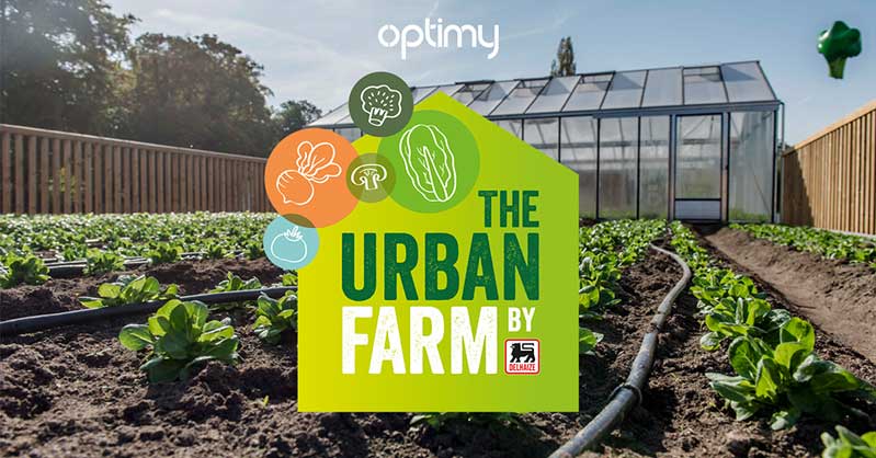 一套時尚的農(nóng)業(yè)品牌設(shè)計，設(shè)計簡潔明了，用色鮮明，讓人看了過目不忘，值得搞農(nóng)業(yè)品牌朋友學(xué)習(xí)交流。