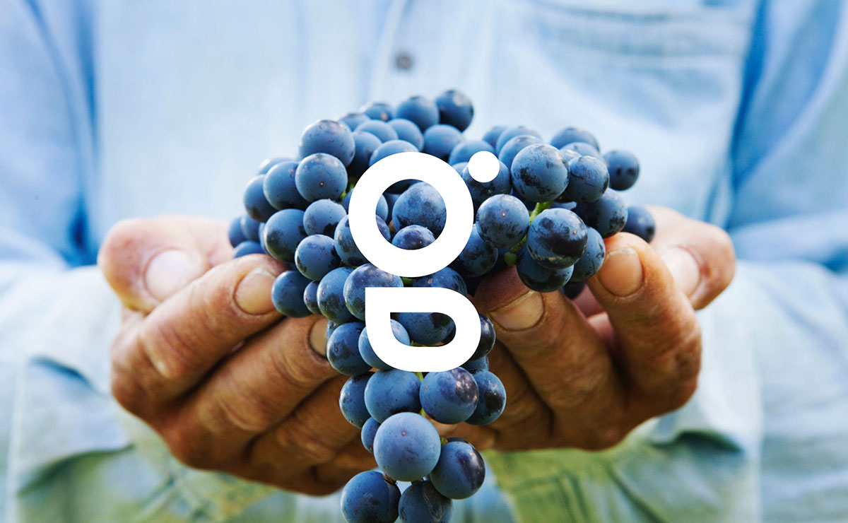 農(nóng)業(yè)品牌設計 農(nóng)業(yè)品牌設計