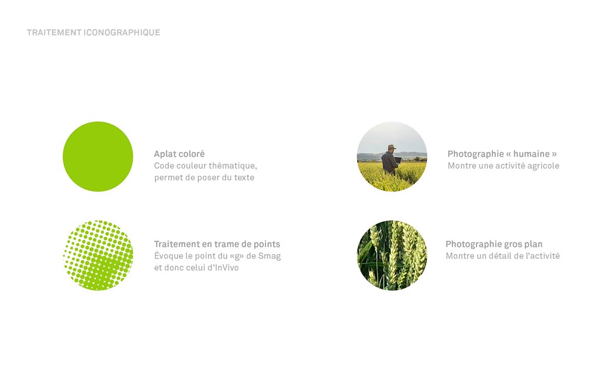 農(nóng)業(yè)品牌VI設計 農(nóng)業(yè)品牌vi設計