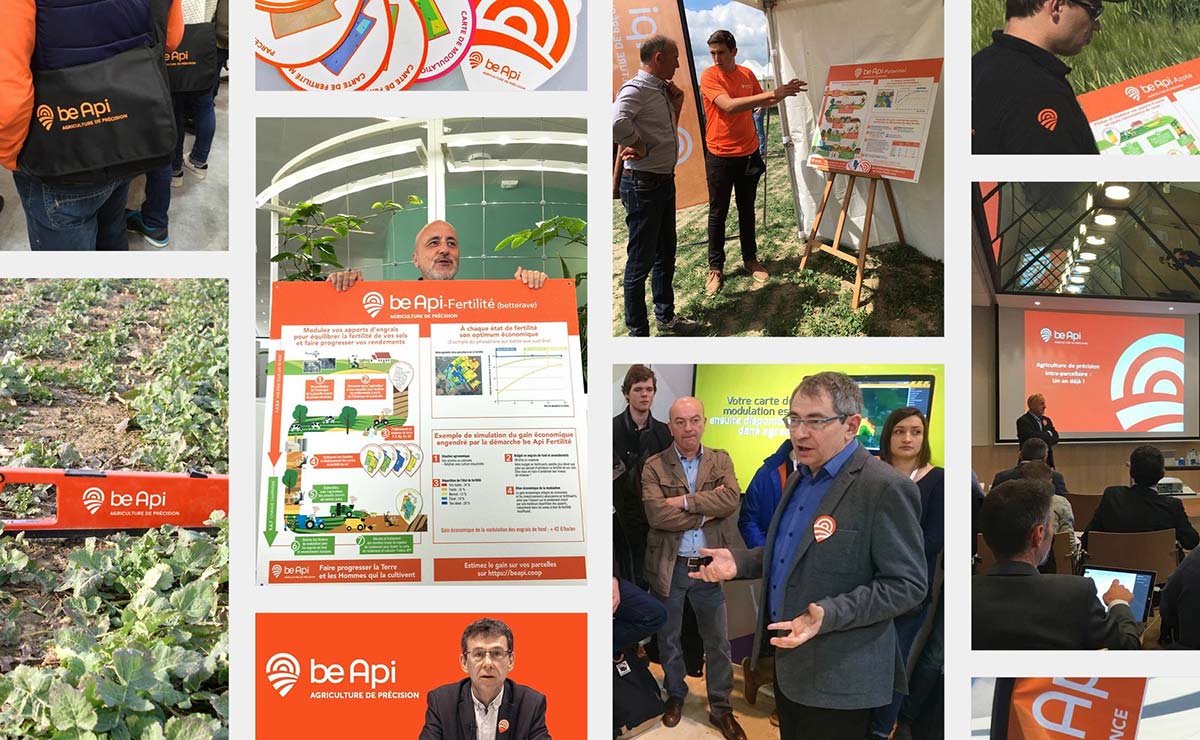 農(nóng)業(yè)品牌VI設計 農(nóng)業(yè)品牌VI設計