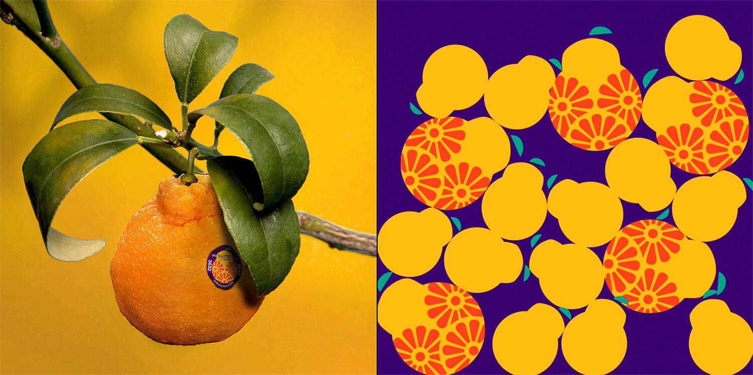 水果品牌設(shè)計(jì) 水果品牌設(shè)計(jì)