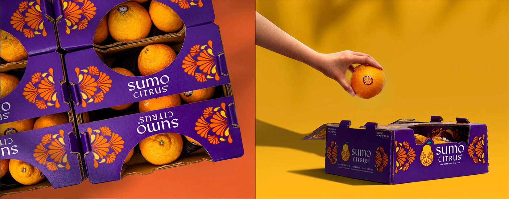 水果品牌設(shè)計(jì) 水果品牌設(shè)計(jì)