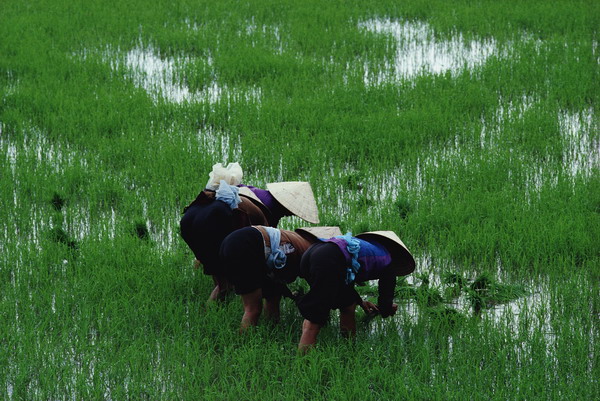 0170030069.jpg 0170030069.jpg