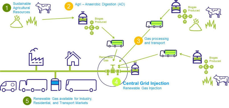 家庭農(nóng)場創(chuàng)業(yè)計(jì)劃書 家庭農(nóng)場創(chuàng)業(yè)計(jì)劃書