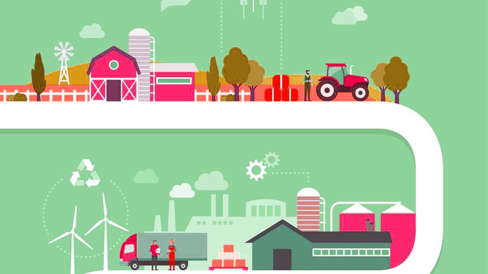 家庭農(nóng)場(chǎng)創(chuàng)業(yè)計(jì)劃書 上海美御農(nóng)業(yè)品牌建設(shè)