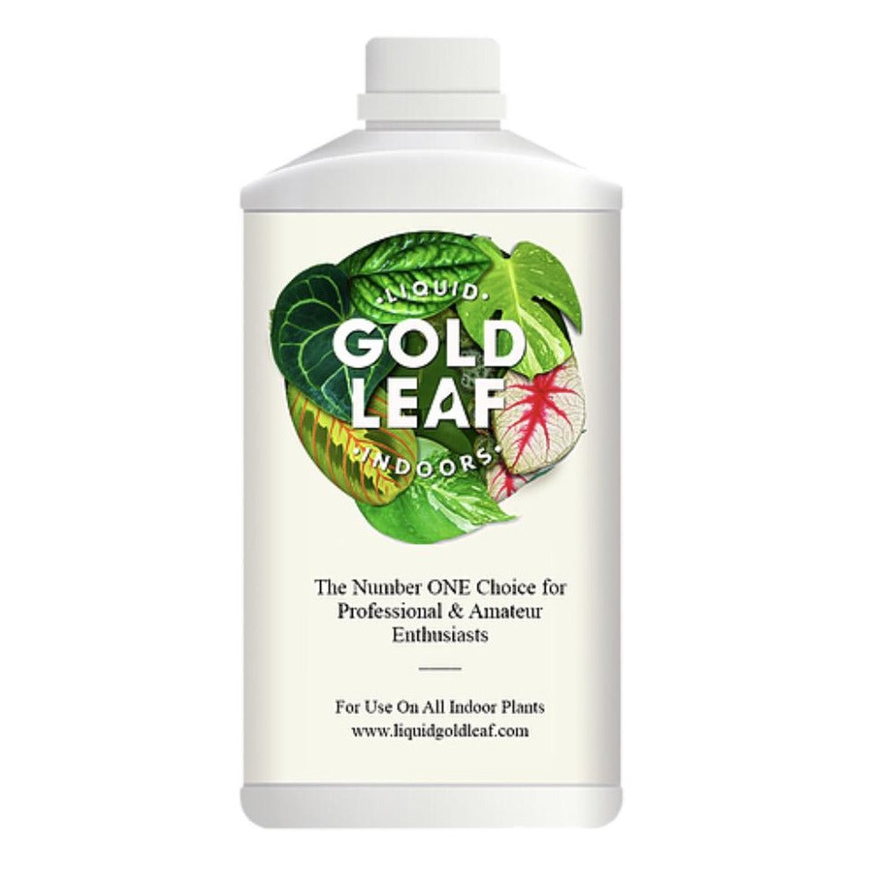 IMG_1640_1024x1024@2x.jpg IMG_1640_1024x1024@2x.jpg