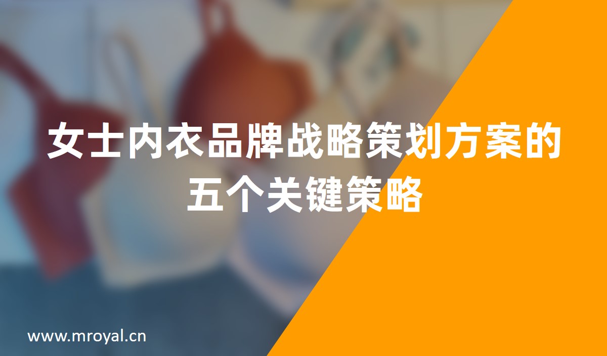 女士內(nèi)衣品牌戰(zhàn)略策劃方案的五個(gè)關(guān)鍵策略