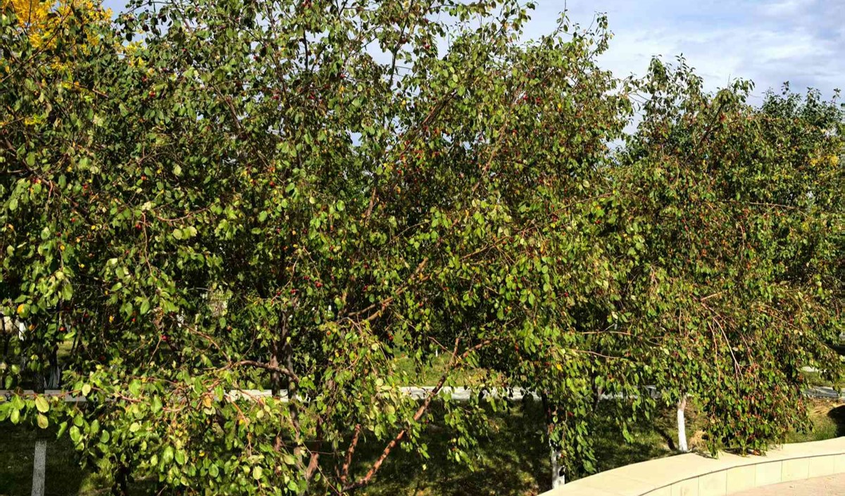 品牌策劃公司能給農業(yè)公司帶來哪些價值