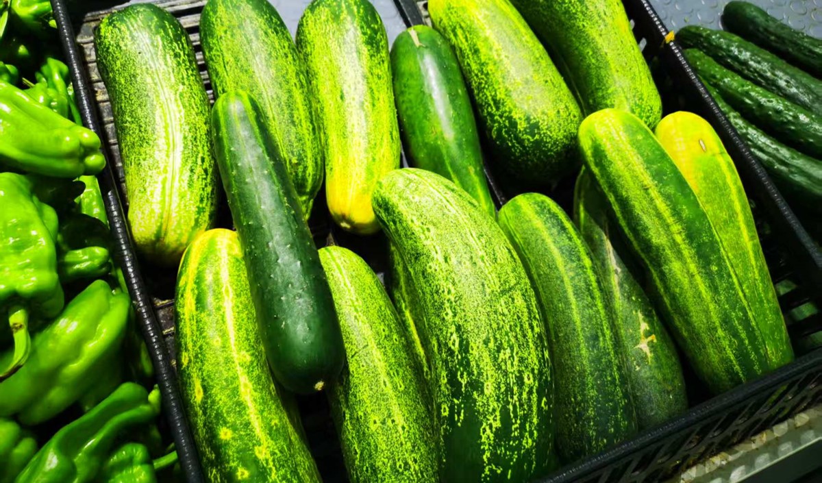 農產(chǎn)品黃瓜營銷策劃指南-重塑黃瓜產(chǎn)業(yè)價值鏈條