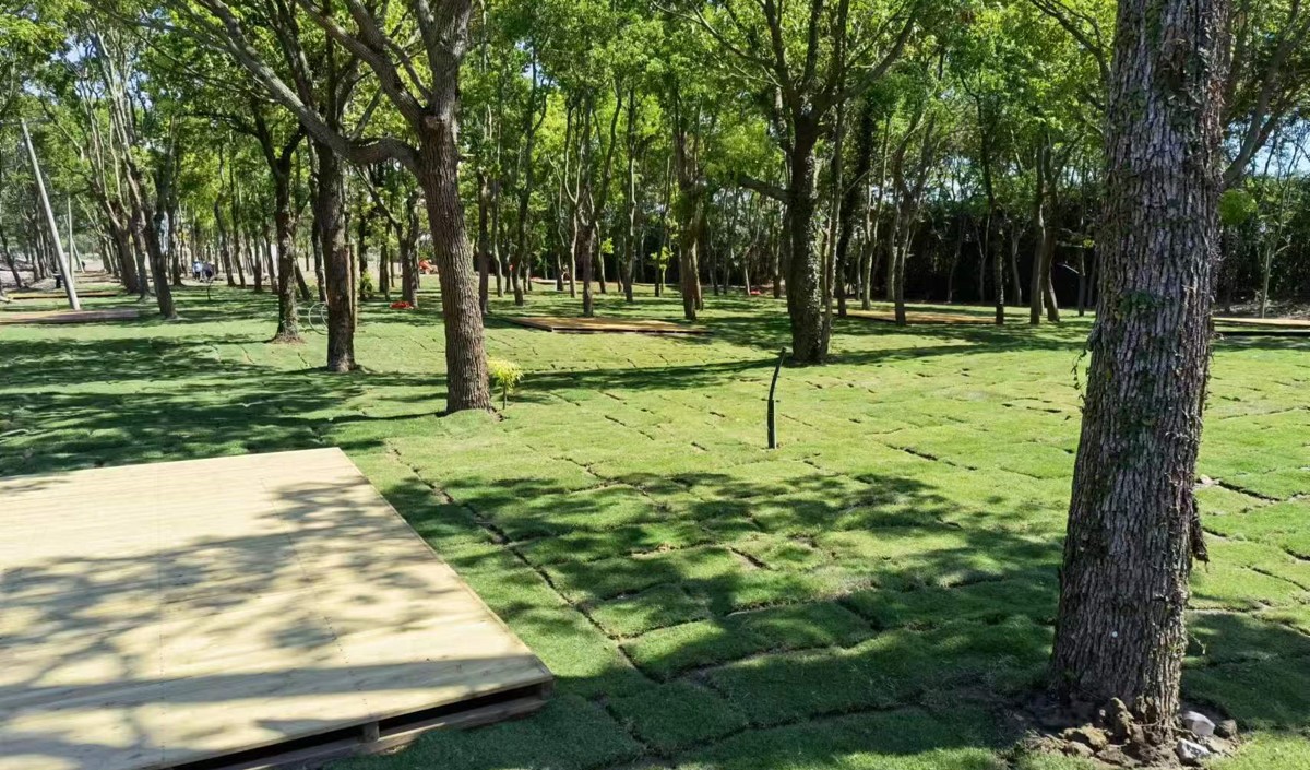 農業(yè)品牌化：從田間地頭到價值高地的戰(zhàn)略躍升