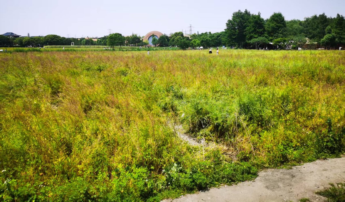 近郊農(nóng)業(yè)公司如何打造高端現(xiàn)代農(nóng)業(yè)品牌？